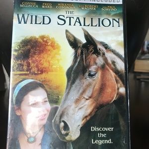 The Wild Stallion